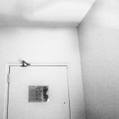 P1000051_01FG