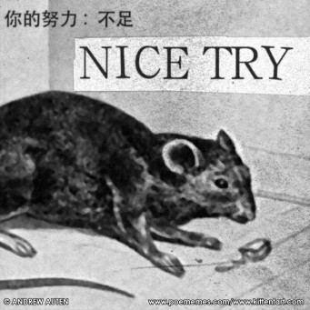 10-09-12_02_NICE_TRY_F_ENCH